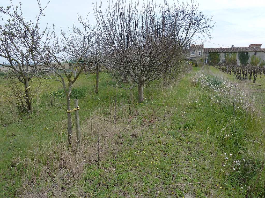 Achat-Vente d'une Maison à Fanjeaux