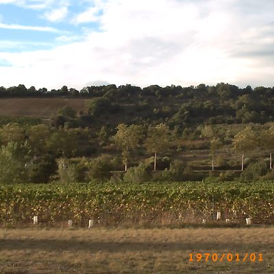Terrain LIMOUX 11300  