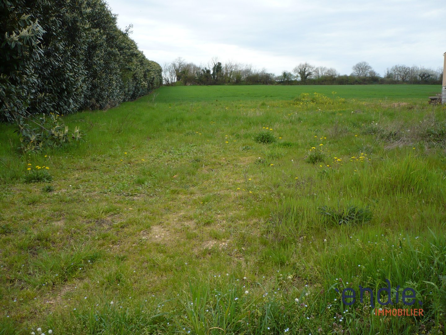 Terrain à lotir