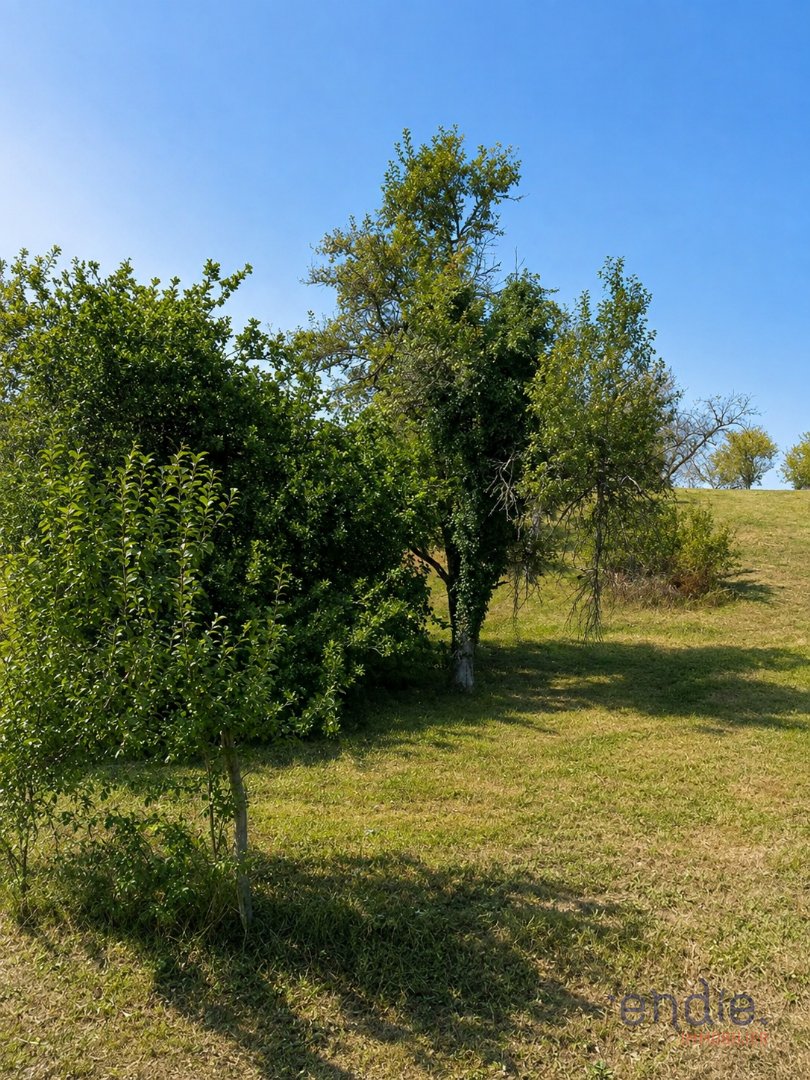 Terrain — Marnay