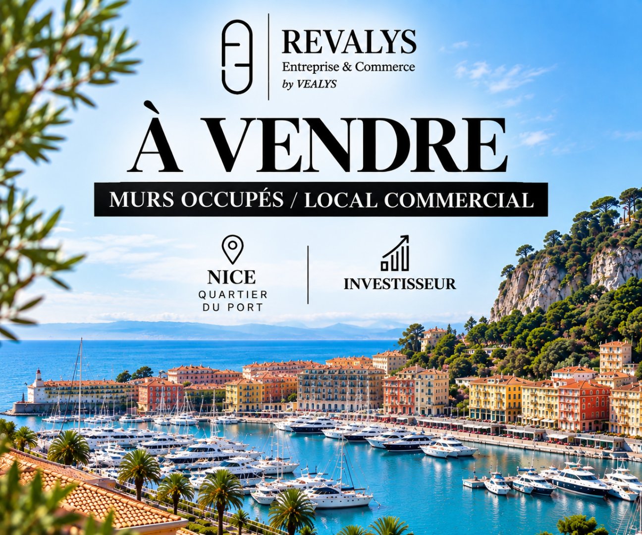 Agence immobilière de GROUPE VEALYS