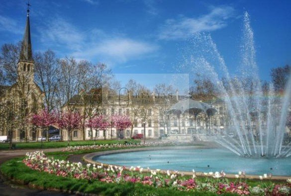 Agence immobilière de GROUPE VEALYS