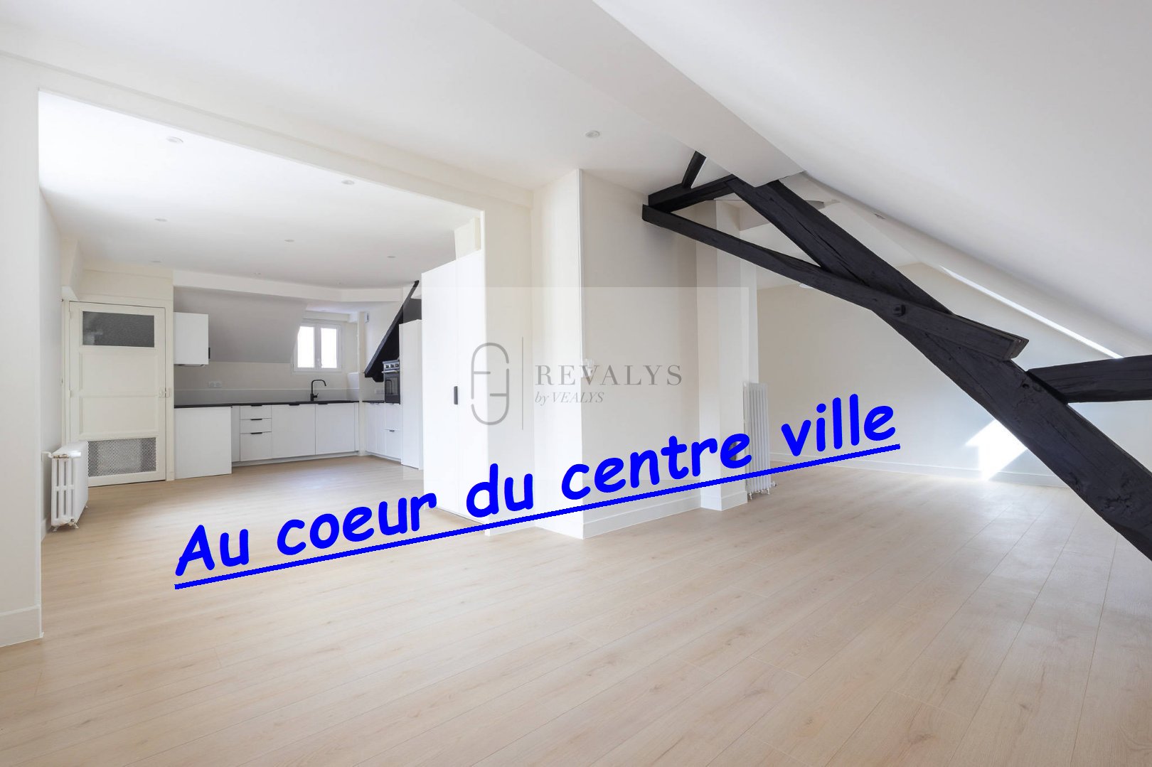 Agence immobilière de GROUPE VEALYS