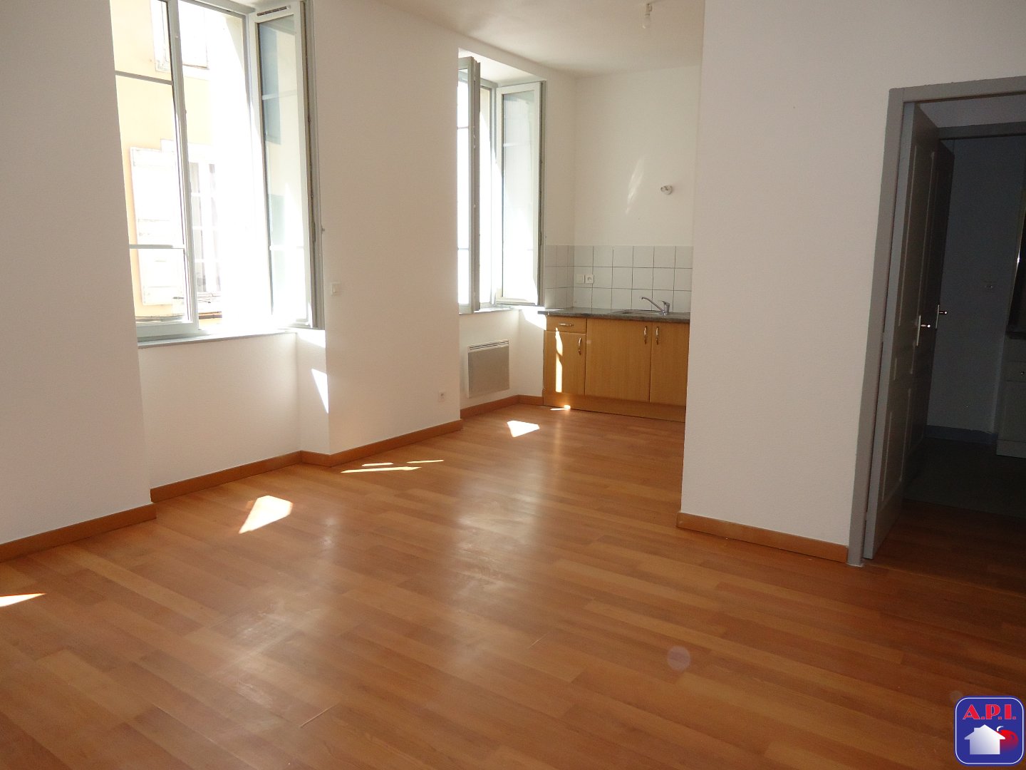 Agence immobilière de ARIEGE PYRENEES IMMOBILIER (API)