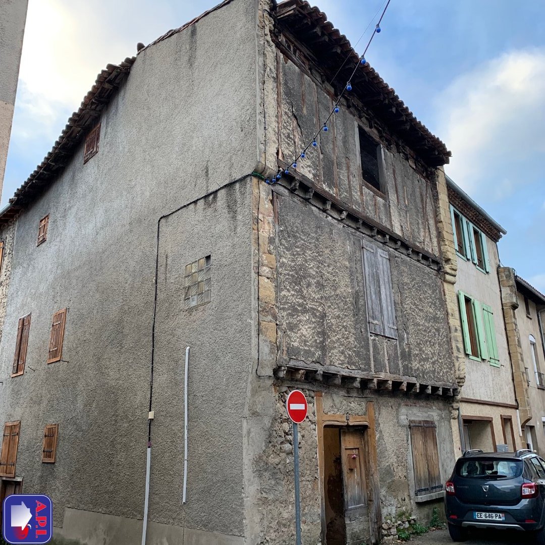 Agence immobilière de ARIEGE PYRENEES IMMOBILIER (API)