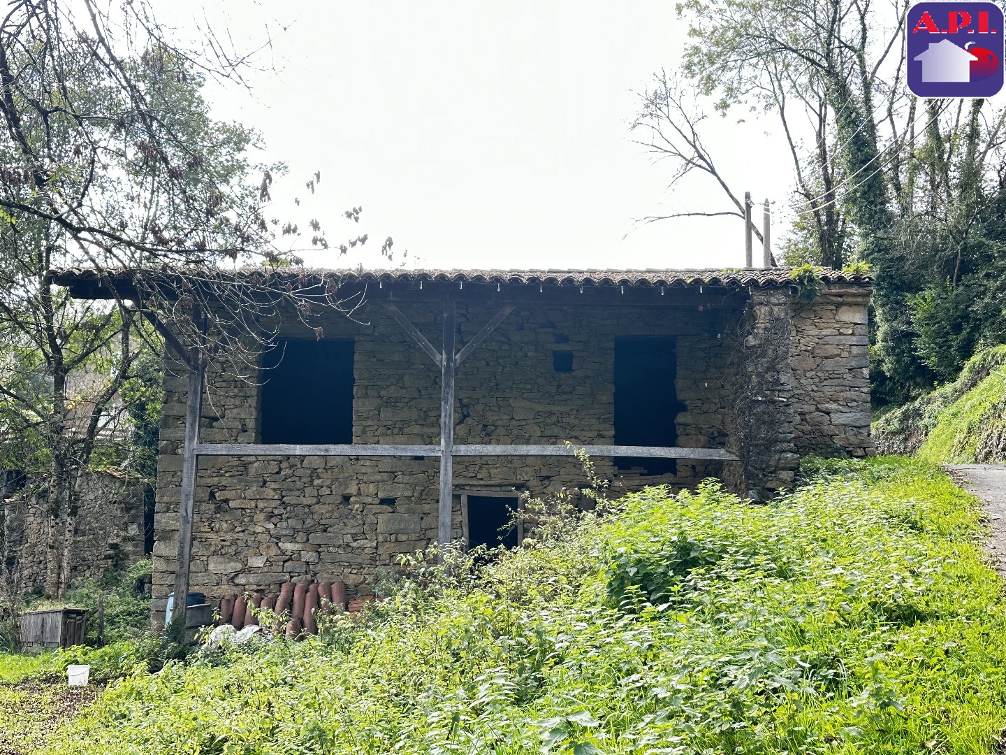 Agence immobilière de ARIEGE PYRENEES IMMOBILIER (API)