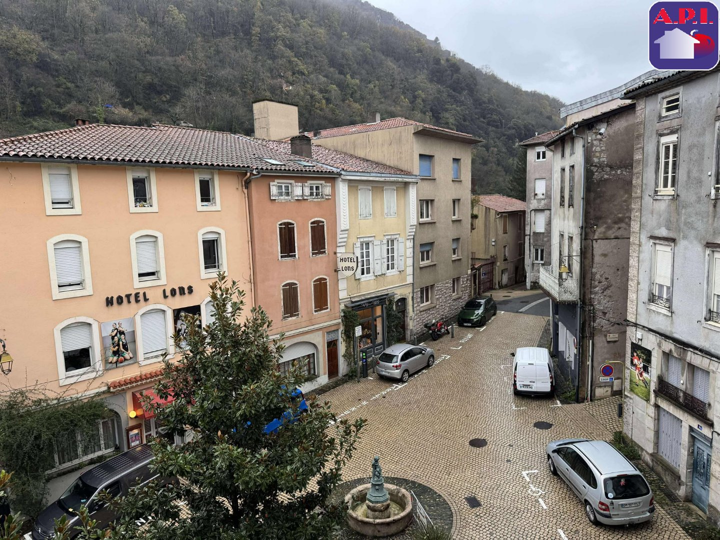 Agence immobilière de ARIEGE PYRENEES IMMOBILIER (API)