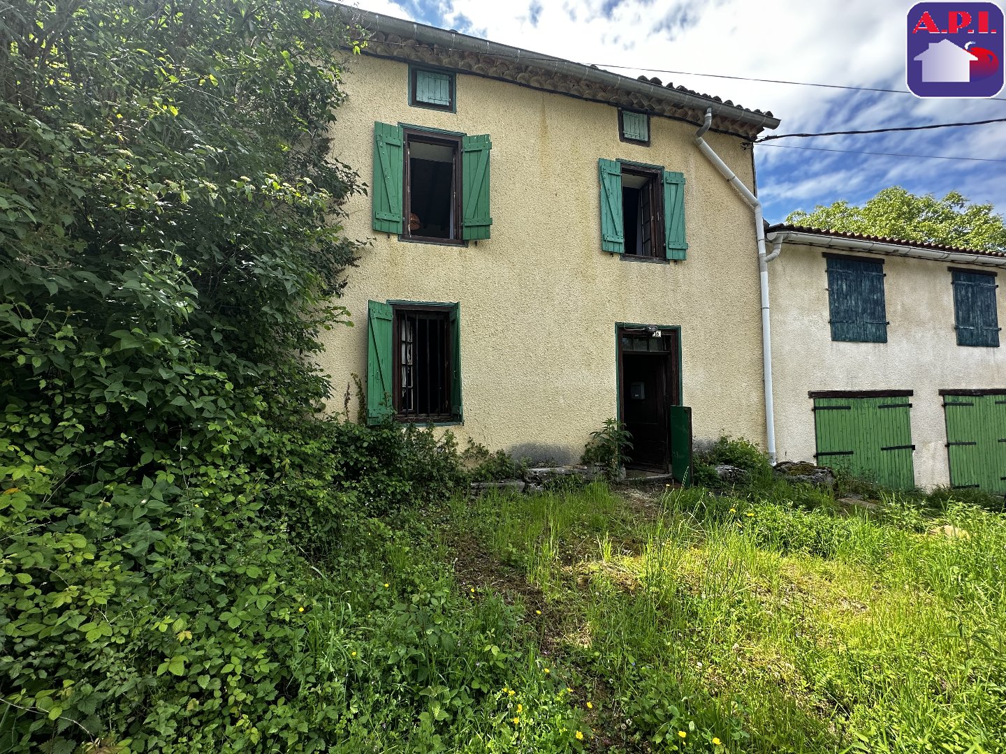 Agence immobilière de ARIEGE PYRENEES IMMOBILIER (API)