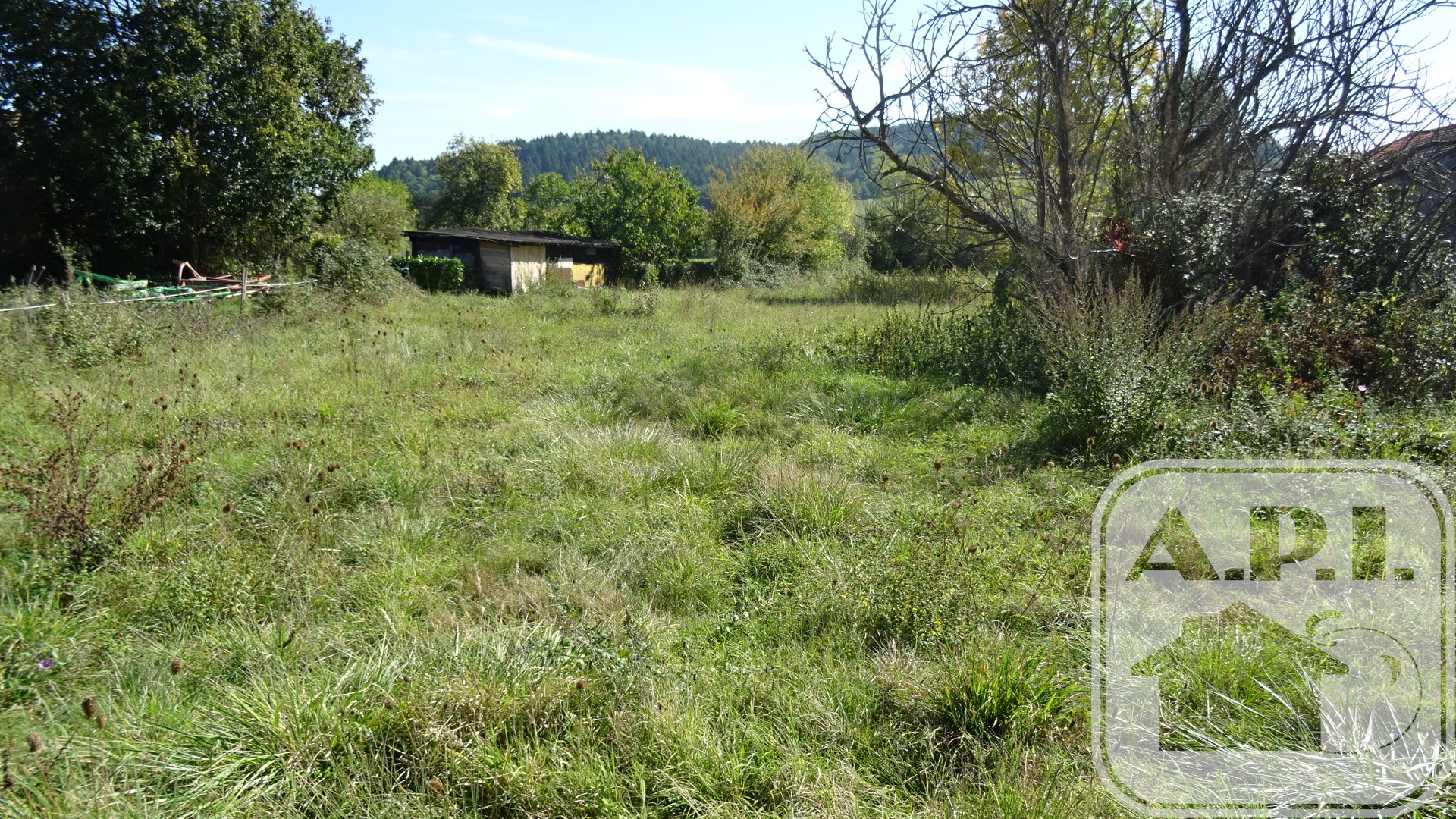 Agence immobilière de ARIEGE PYRENEES IMMOBILIER (API)