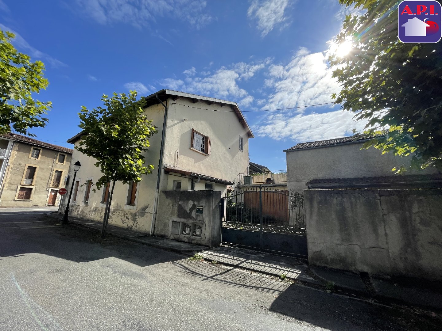 Agence immobilière de ARIEGE PYRENEES IMMOBILIER (API)