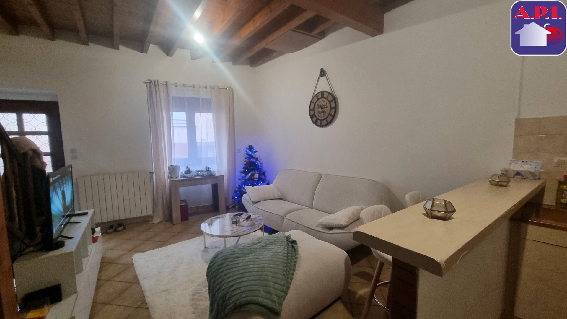 Agence immobilière de ARIEGE PYRENEES IMMOBILIER (API)