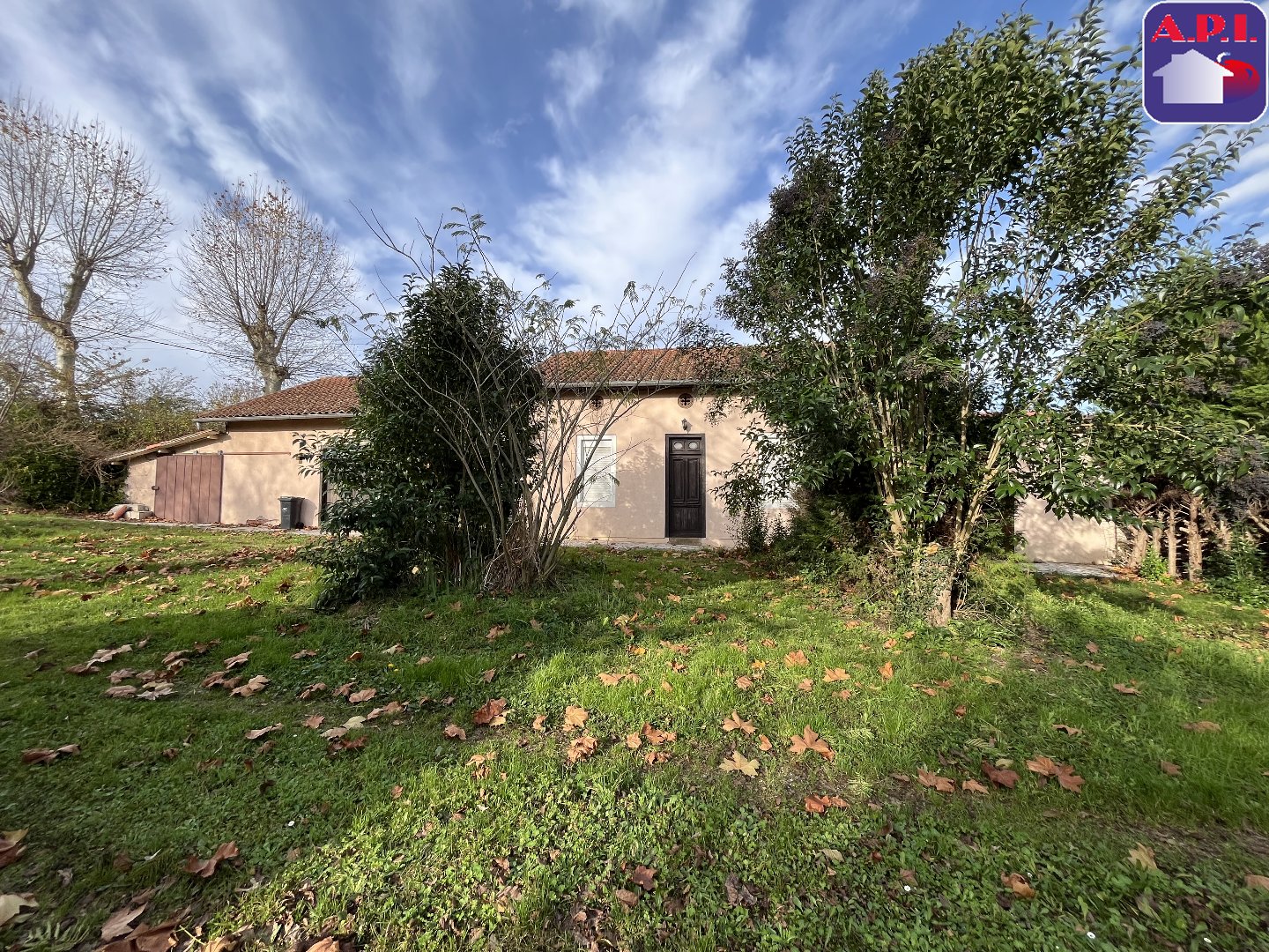 Agence immobilière de ARIEGE PYRENEES IMMOBILIER (API)