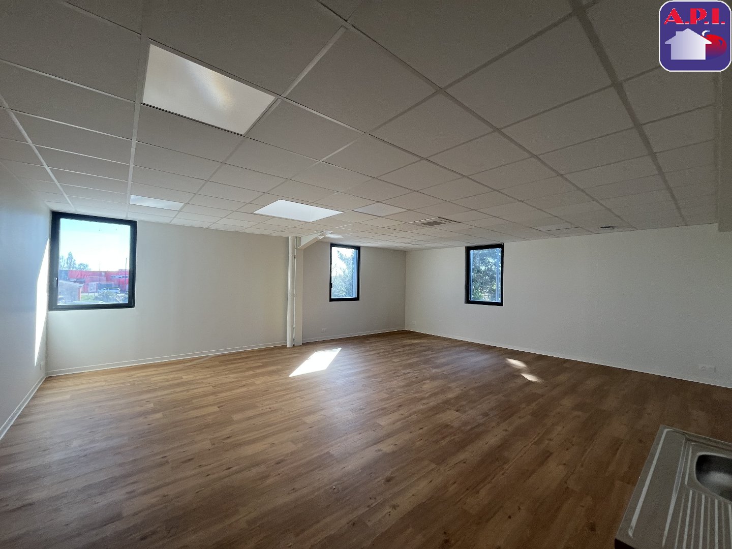Agence immobilière de ARIEGE PYRENEES IMMOBILIER (API)