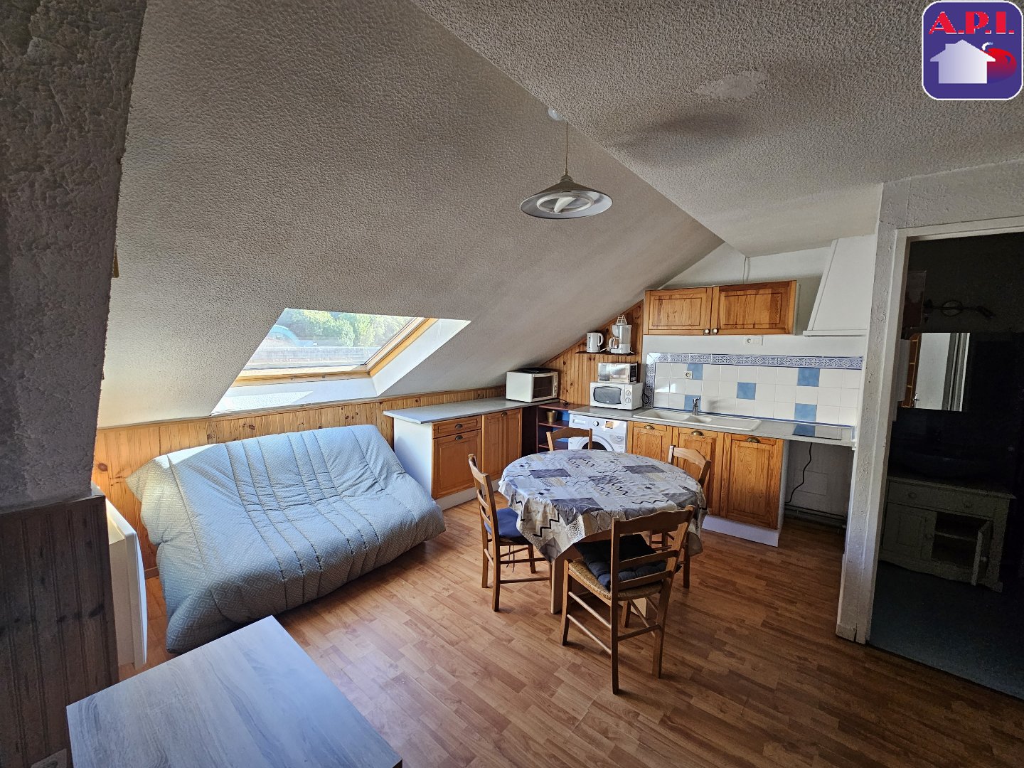 Agence immobilière de ARIEGE PYRENEES IMMOBILIER (API)