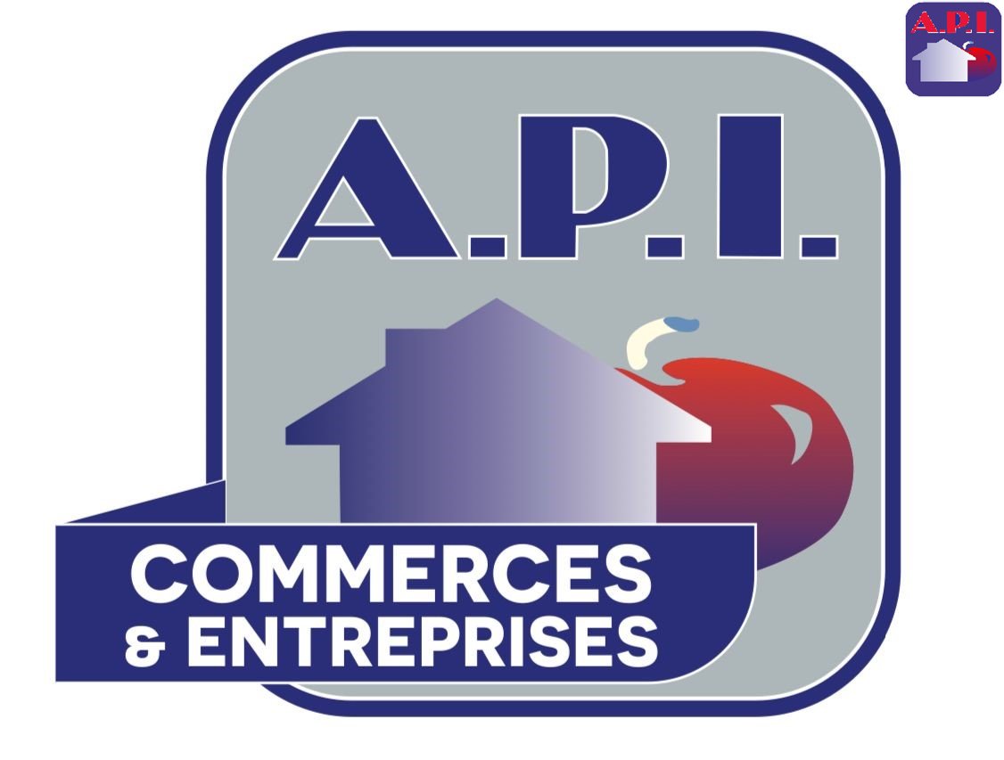 Agence immobilière de ARIEGE PYRENEES IMMOBILIER (API)