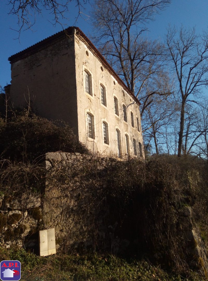 Agence immobilière de ARIEGE PYRENEES IMMOBILIER (API)