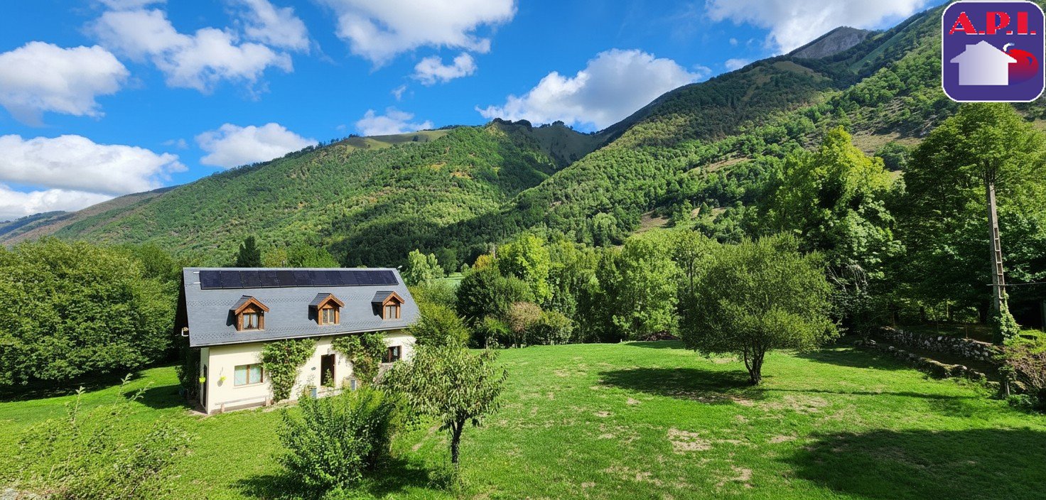 Agence immobilière de ARIEGE PYRENEES IMMOBILIER (API)