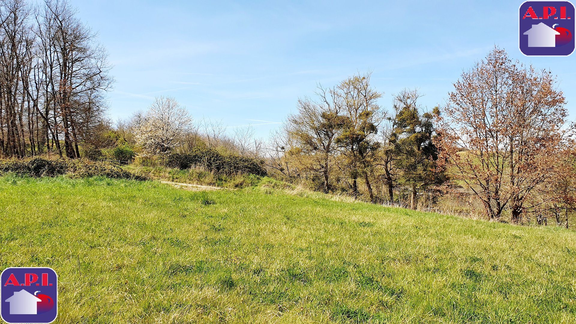 Agence immobilière de ARIEGE PYRENEES IMMOBILIER (API)
