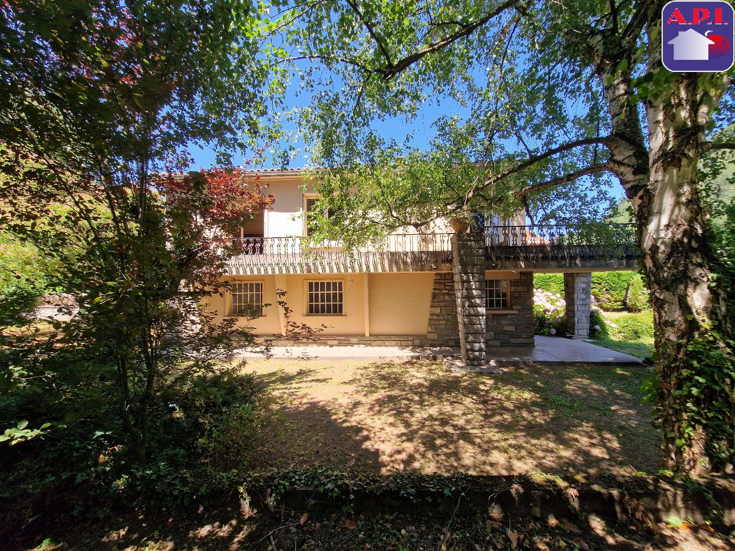 Agence immobilière de ARIEGE PYRENEES IMMOBILIER (API)