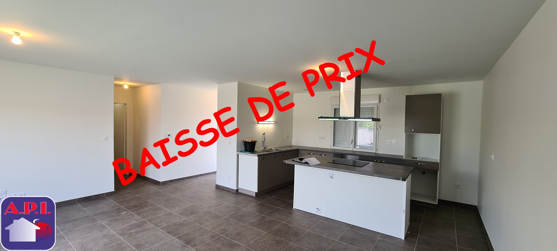 Agence immobilière de ARIEGE PYRENEES IMMOBILIER (API)