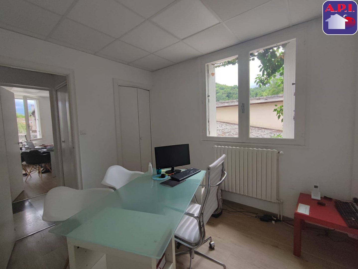 Agence immobilière de ARIEGE PYRENEES IMMOBILIER (API)