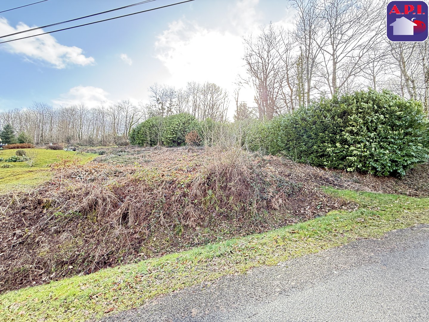 Agence immobilière de ARIEGE PYRENEES IMMOBILIER (API)