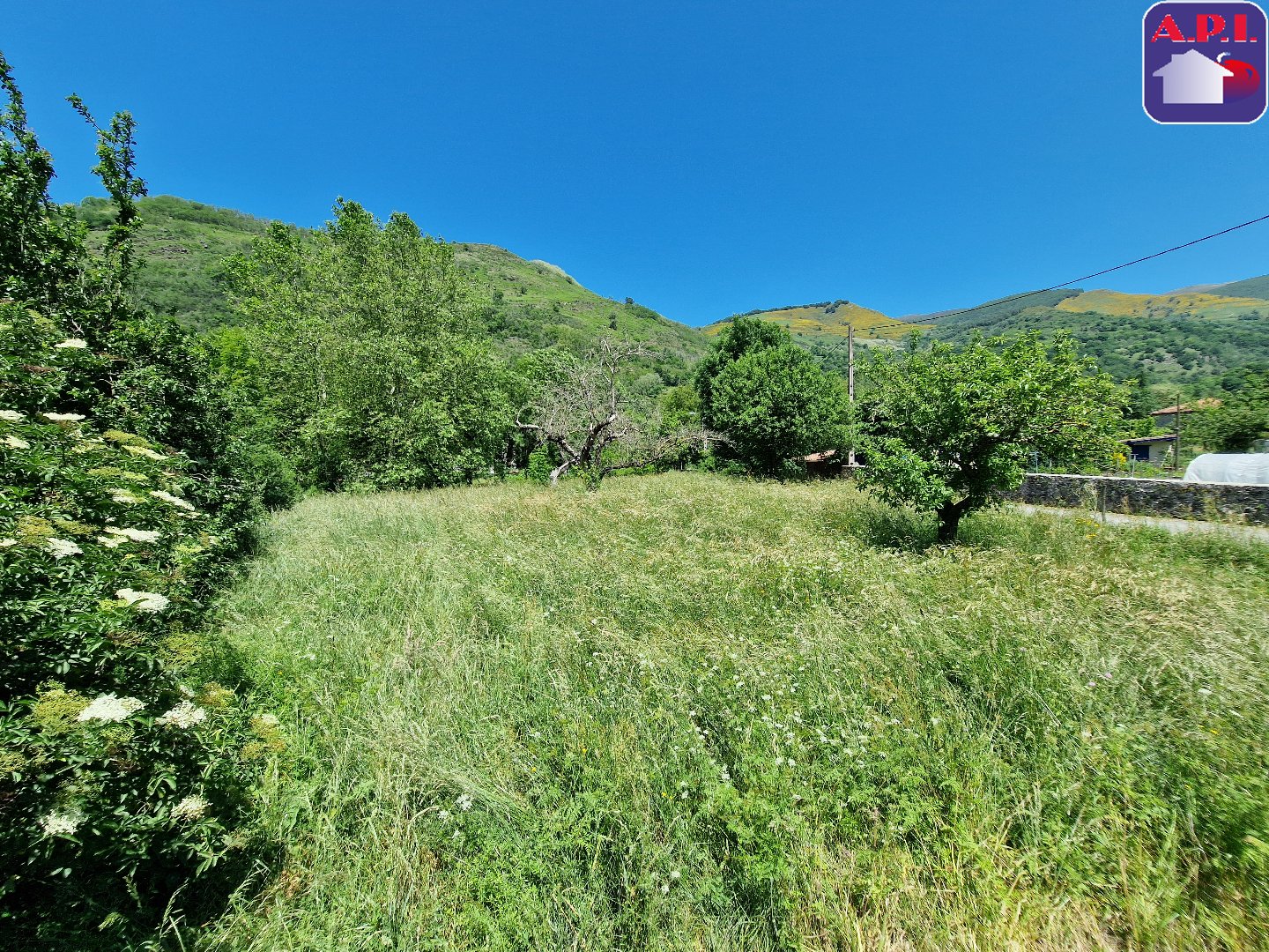 Agence immobilière de ARIEGE PYRENEES IMMOBILIER (API)