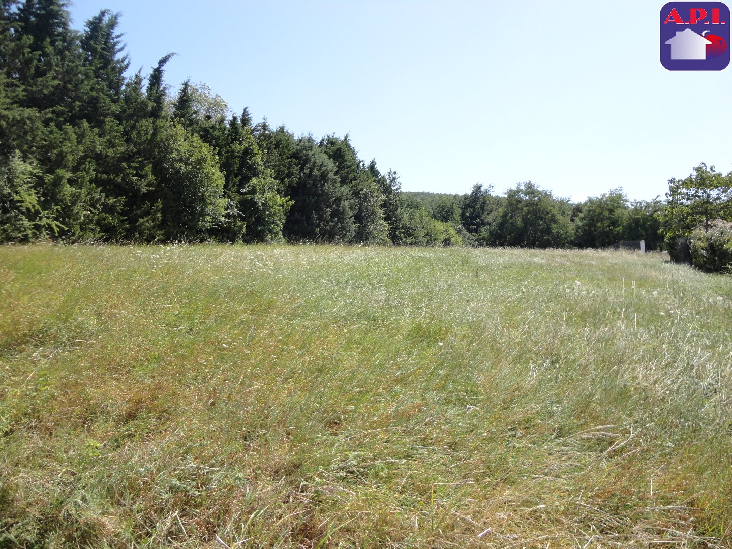 Agence immobilière de ARIEGE PYRENEES IMMOBILIER (API)