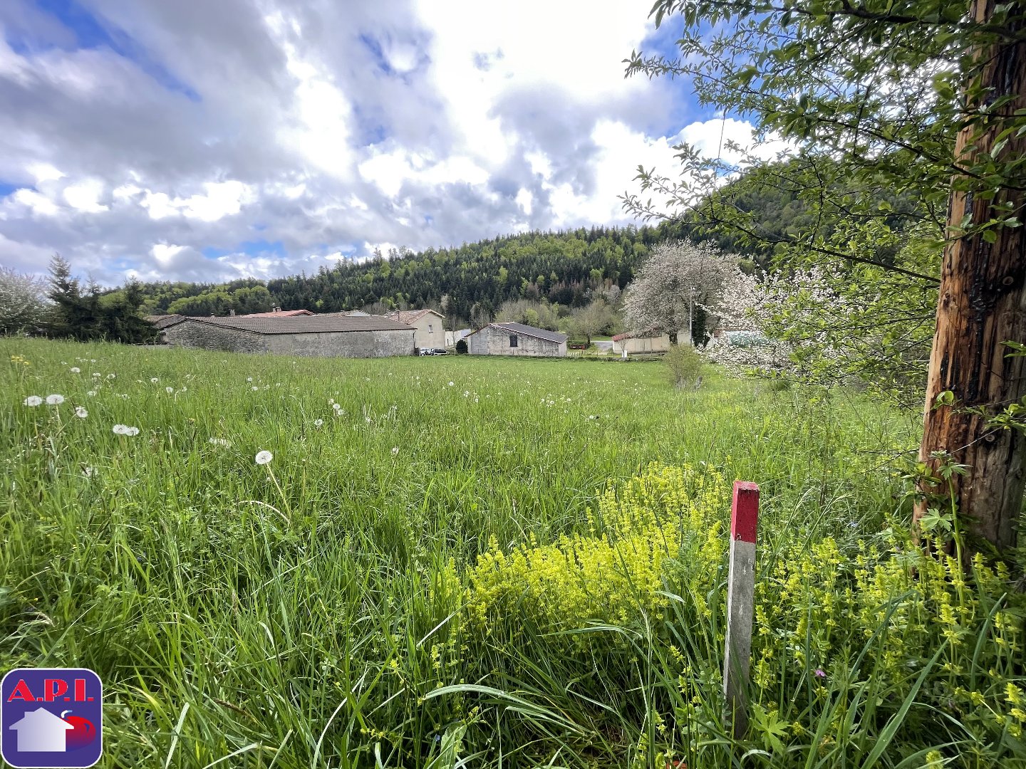 Agence immobilière de ARIEGE PYRENEES IMMOBILIER (API)
