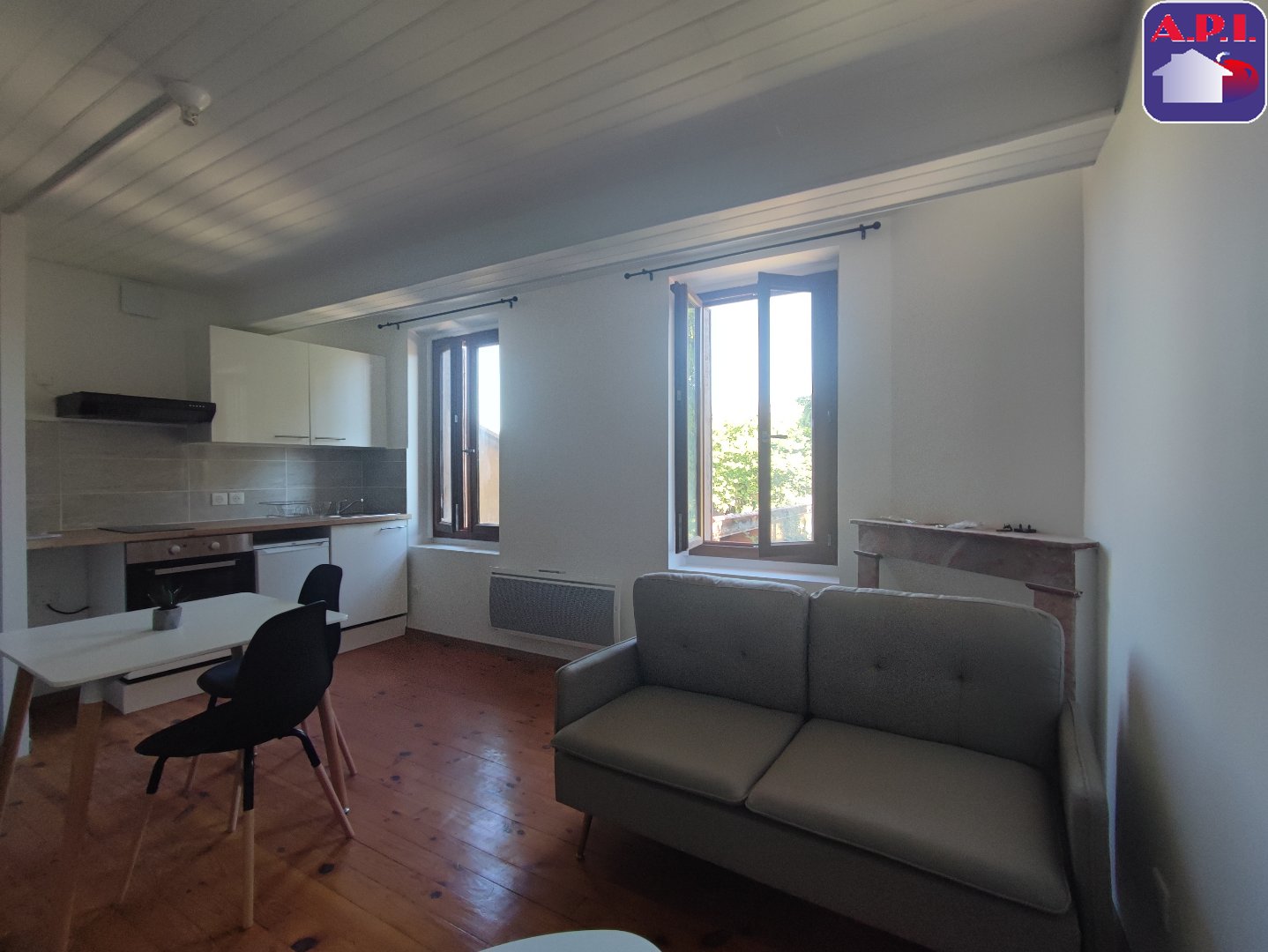 Agence immobilière de ARIEGE PYRENEES IMMOBILIER (API)