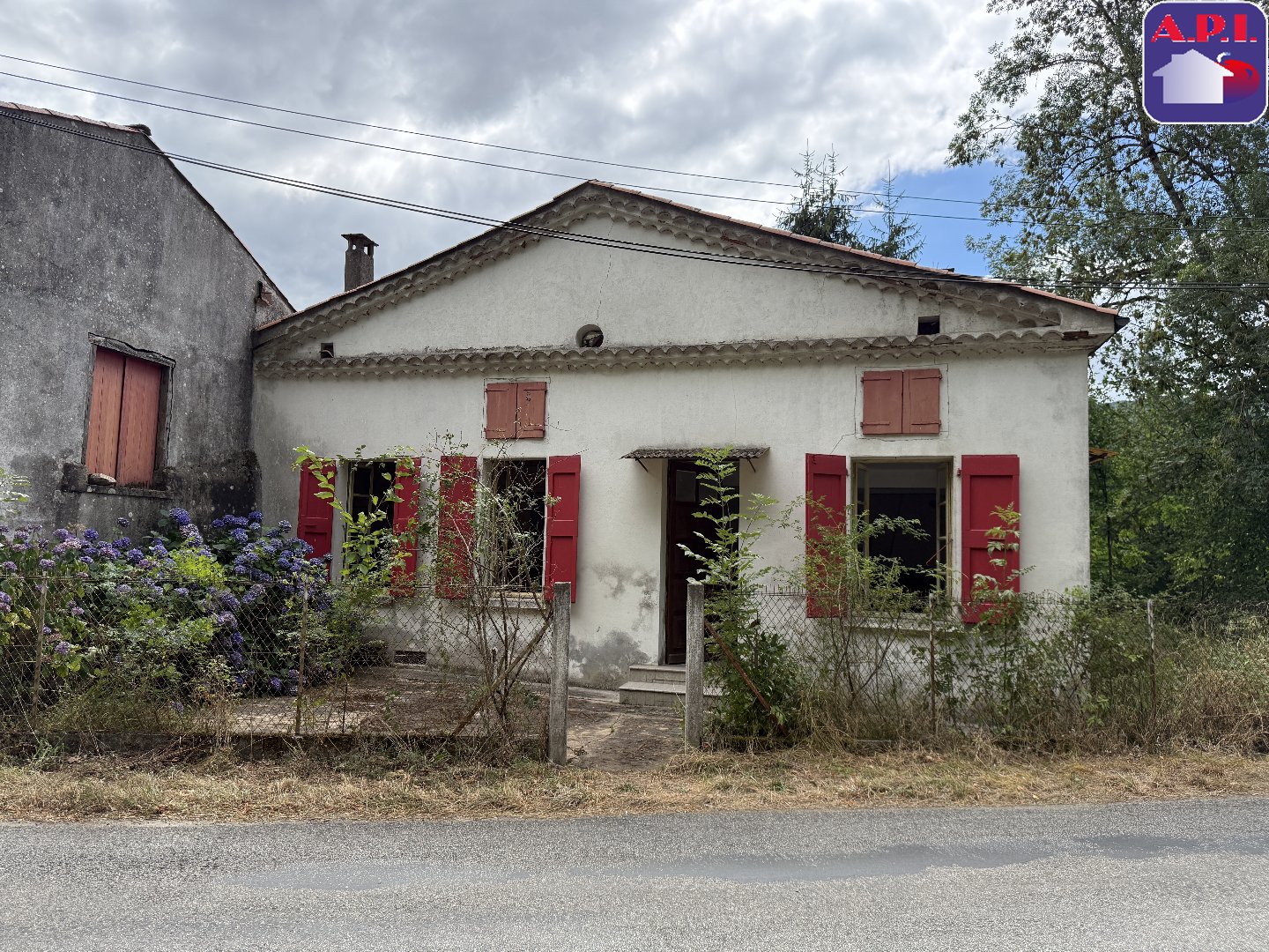 Agence immobilière de ARIEGE PYRENEES IMMOBILIER (API)