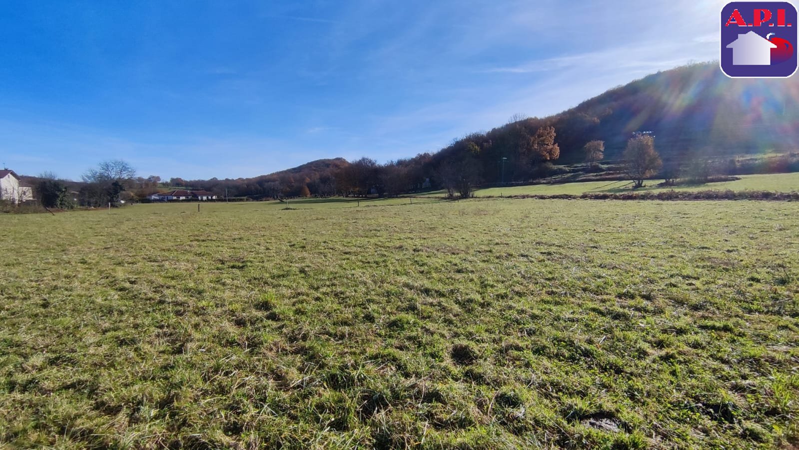 Agence immobilière de ARIEGE PYRENEES IMMOBILIER (API)