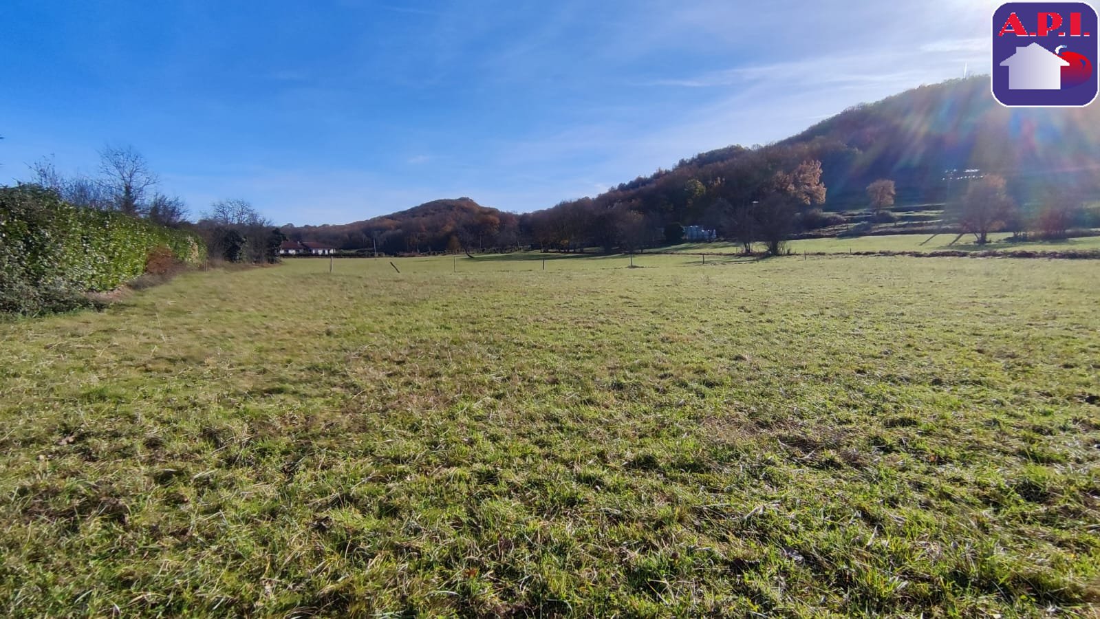 Agence immobilière de ARIEGE PYRENEES IMMOBILIER (API)