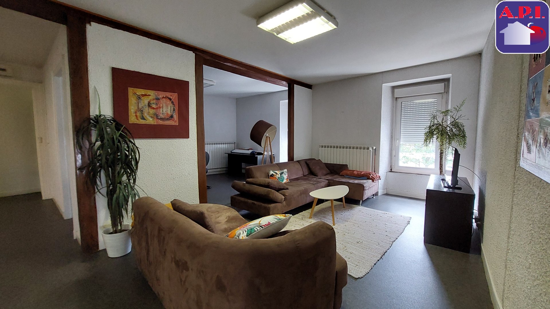 Agence immobilière de ARIEGE PYRENEES IMMOBILIER (API)