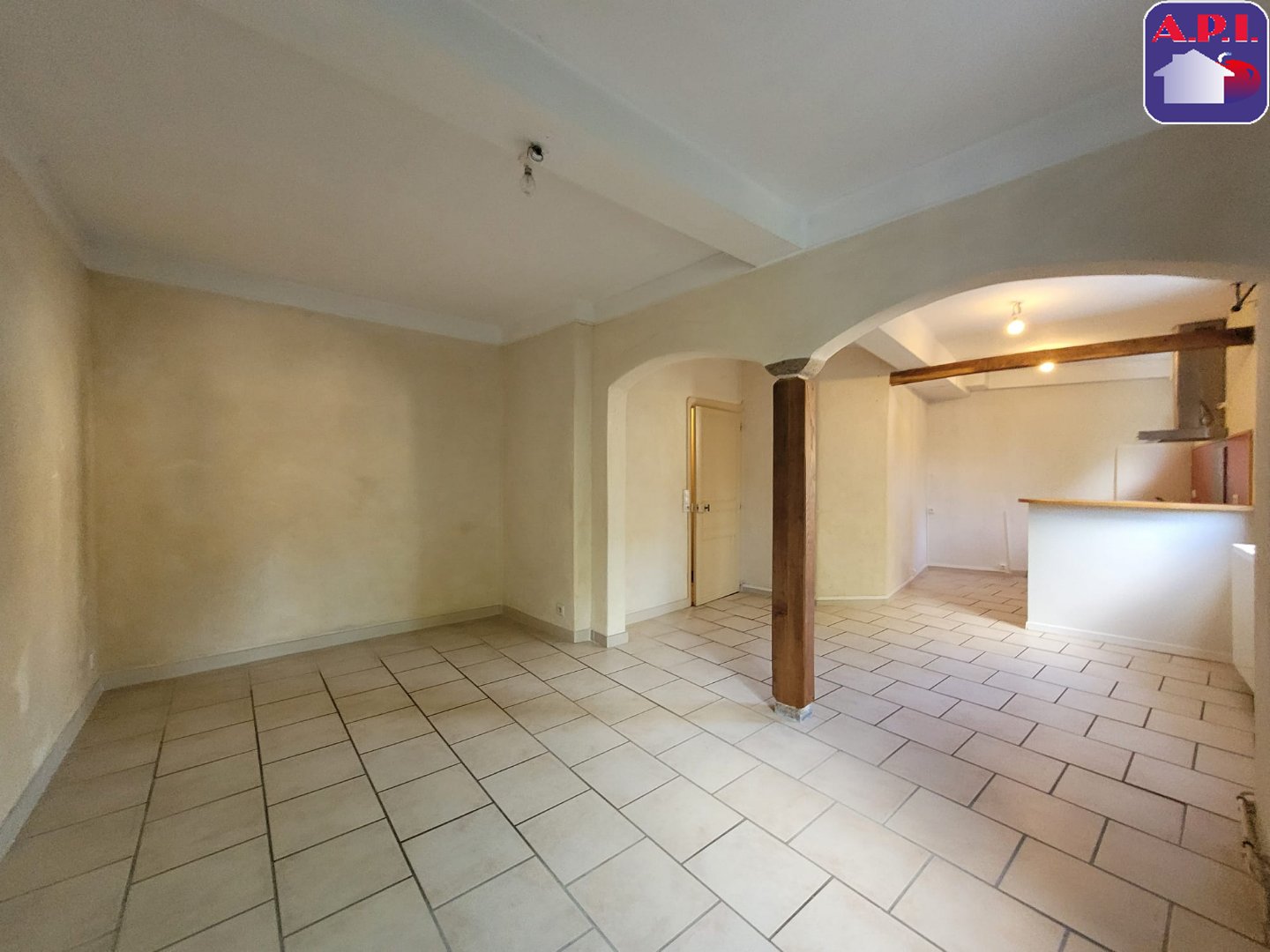 Agence immobilière de ARIEGE PYRENEES IMMOBILIER (API)
