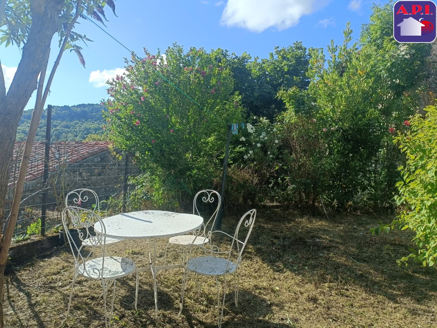 Agence immobilière de ARIEGE PYRENEES IMMOBILIER (API)
