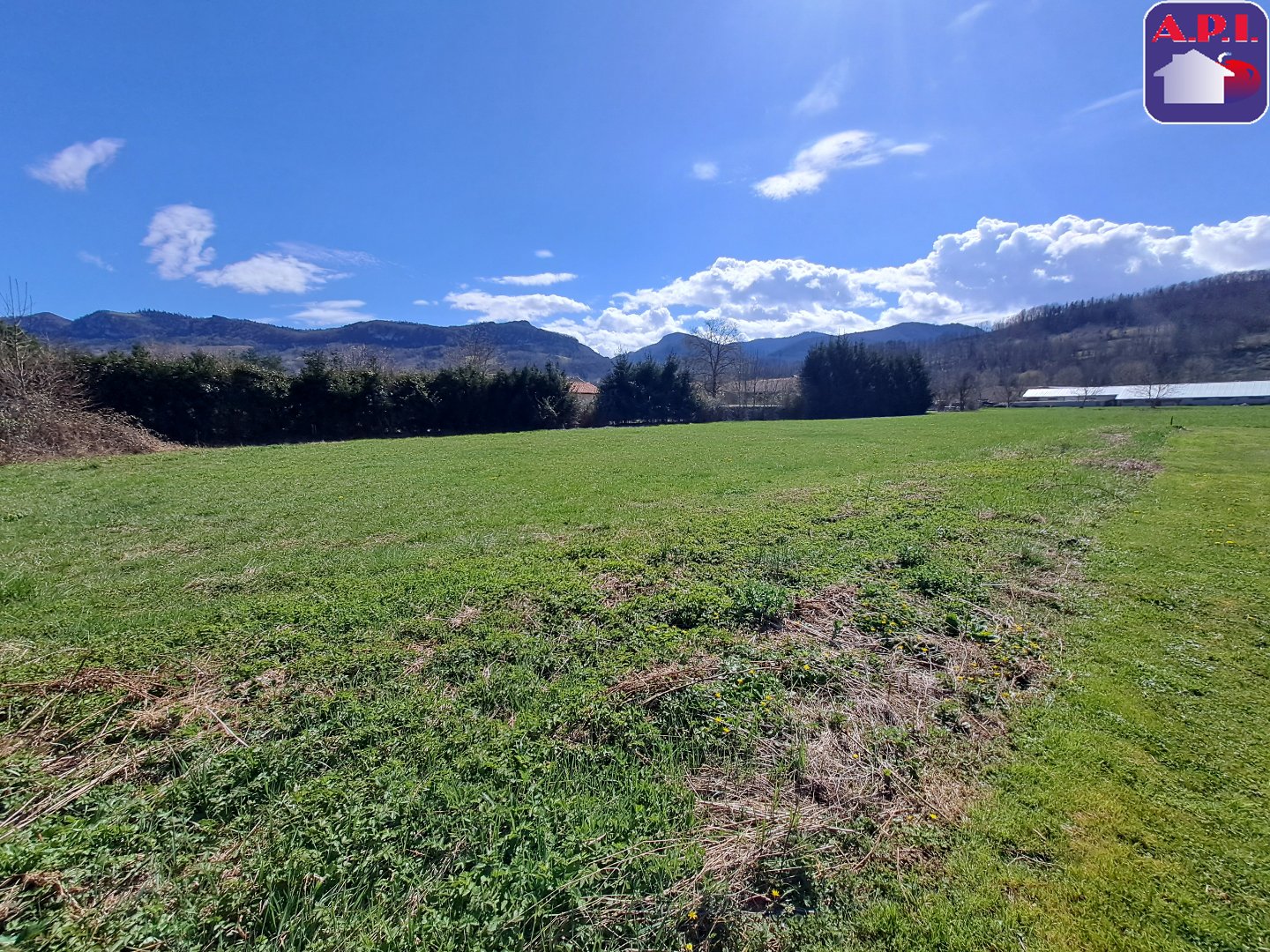 Agence immobilière de ARIEGE PYRENEES IMMOBILIER (API)