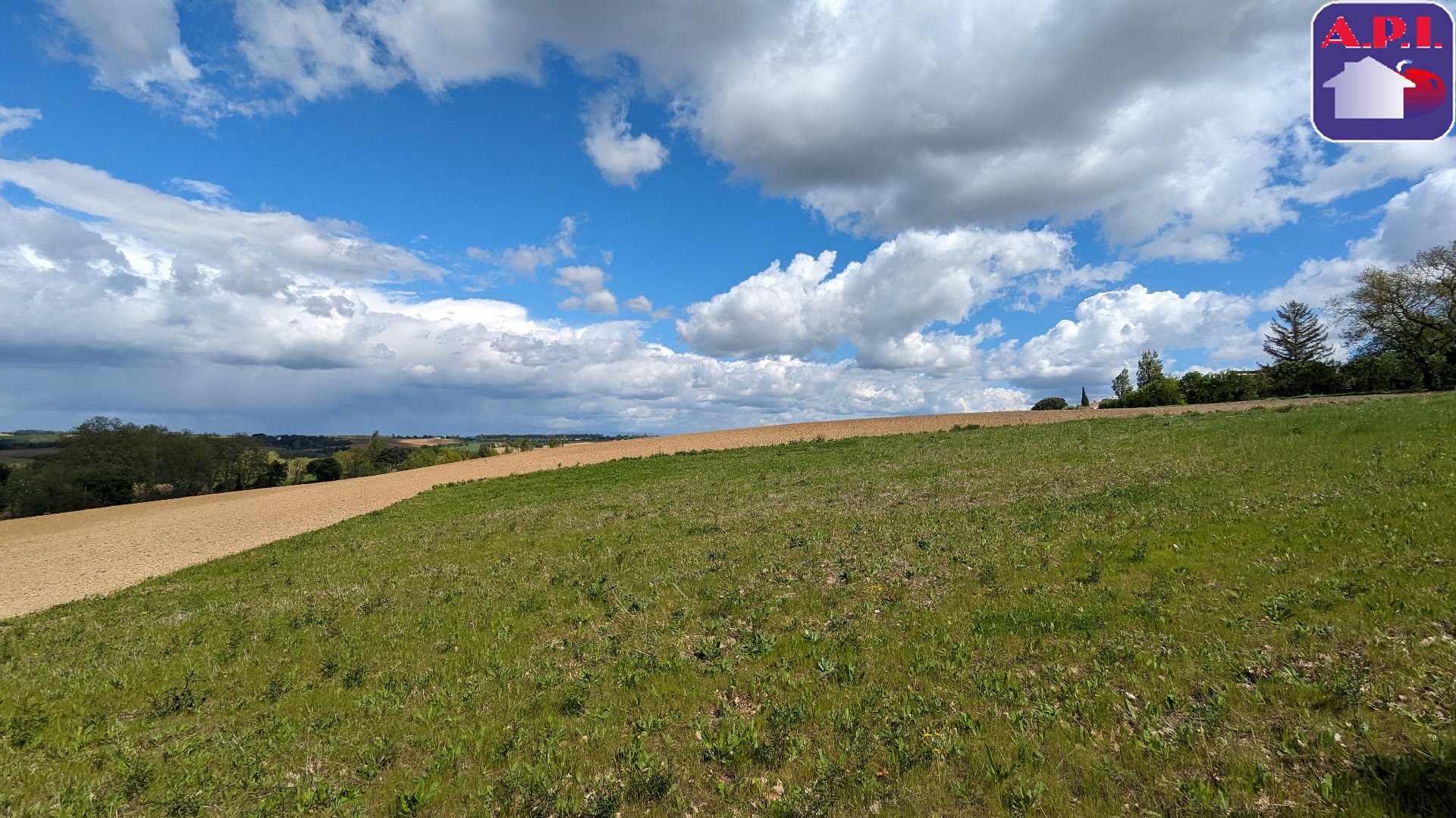 Agence immobilière de ARIEGE PYRENEES IMMOBILIER (API)
