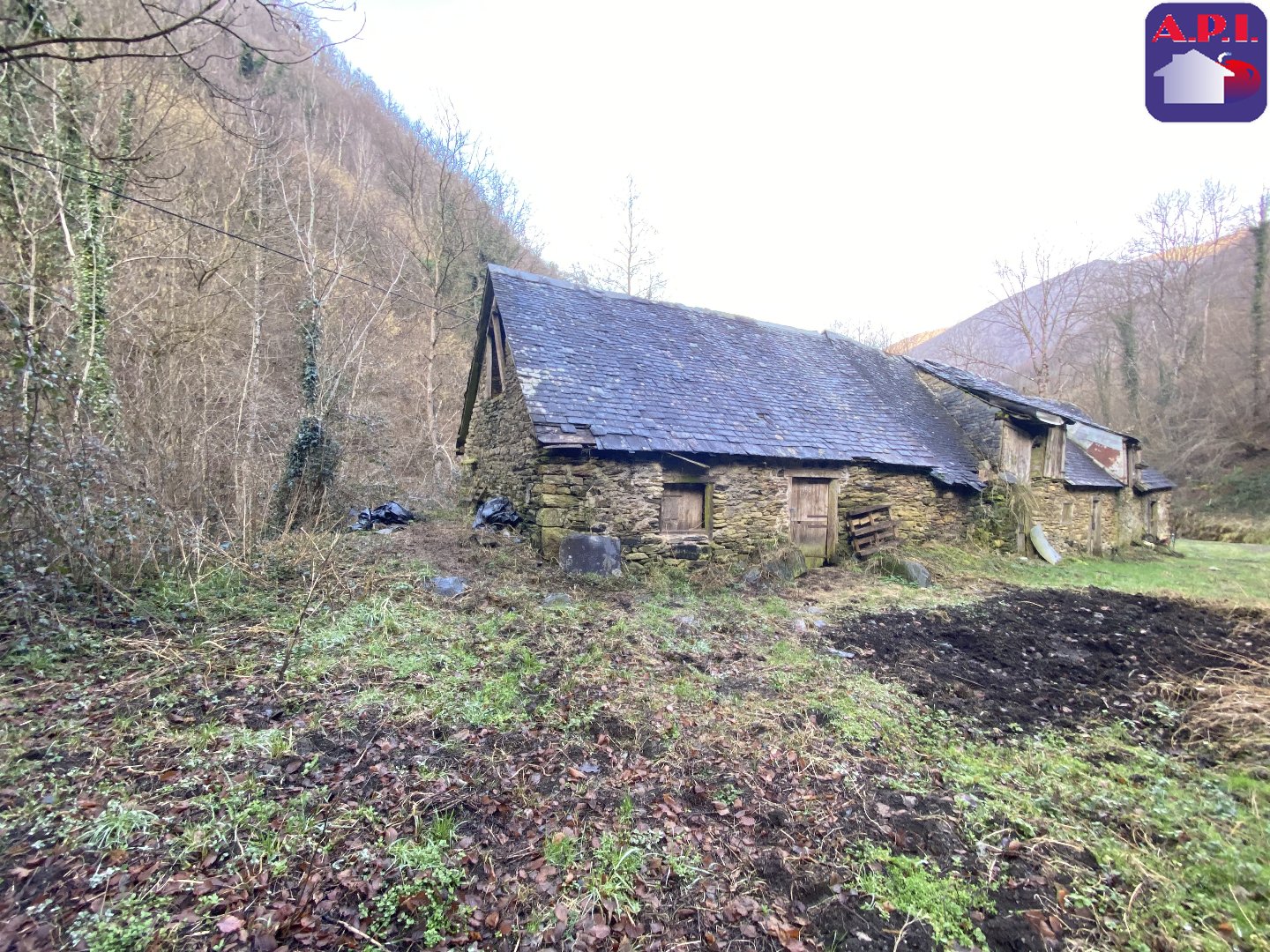 Agence immobilière de ARIEGE PYRENEES IMMOBILIER (API)