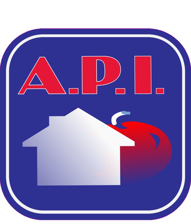 Agence immobilière de ARIEGE PYRENEES IMMOBILIER (API)