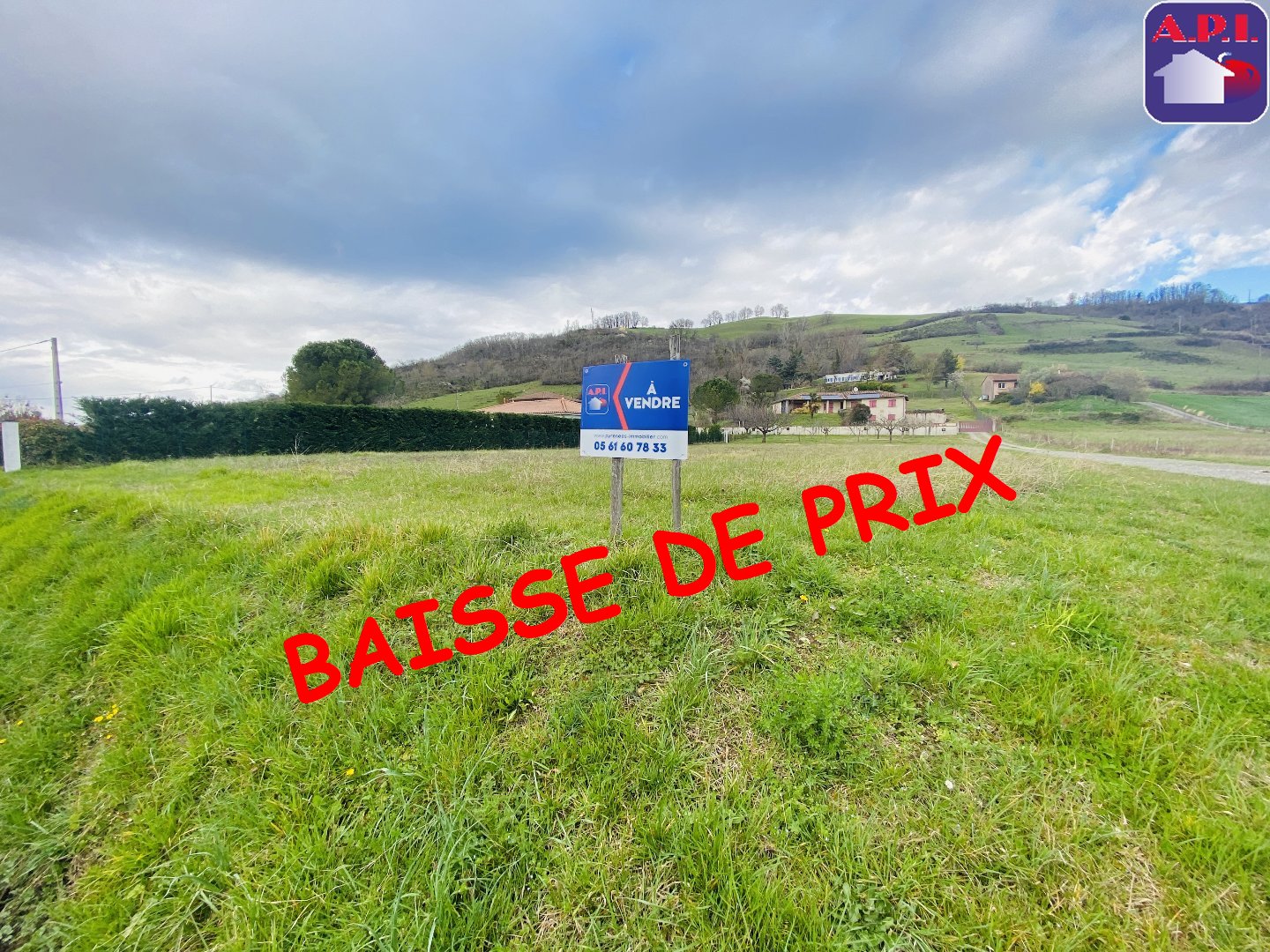 Agence immobilière de ARIEGE PYRENEES IMMOBILIER (API)