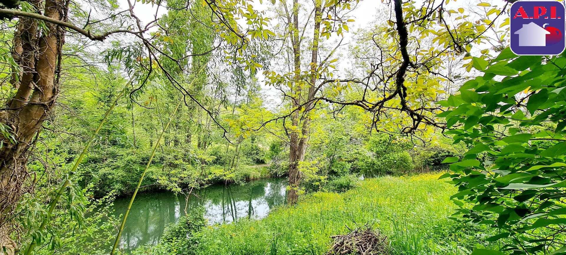 Agence immobilière de ARIEGE PYRENEES IMMOBILIER (API)