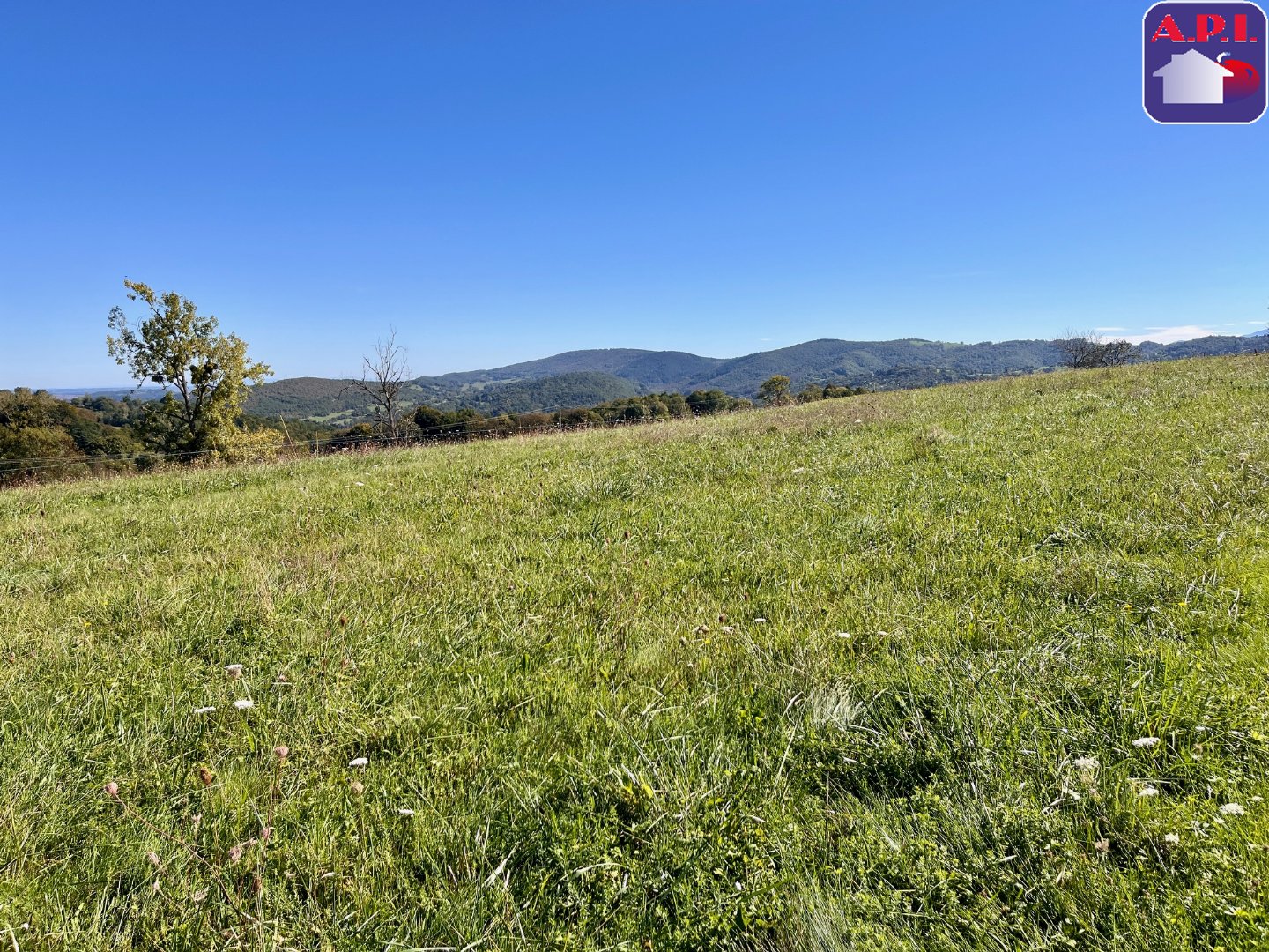 Agence immobilière de ARIEGE PYRENEES IMMOBILIER (API)