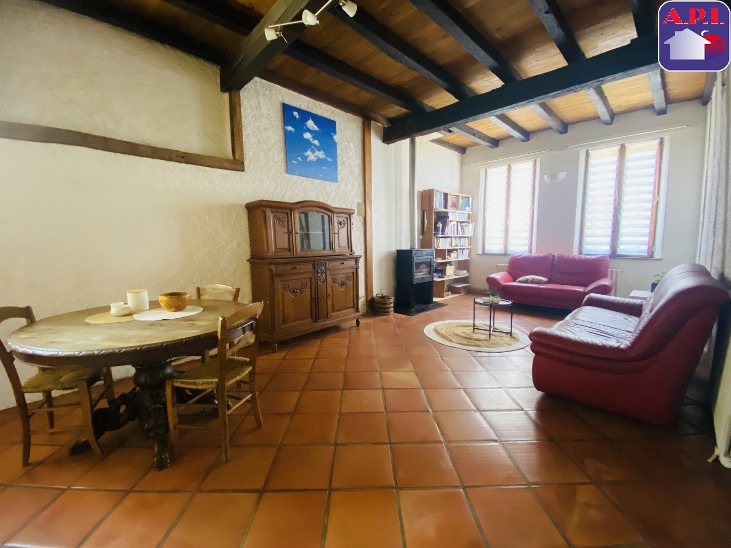 Agence immobilière de ARIEGE PYRENEES IMMOBILIER (API)