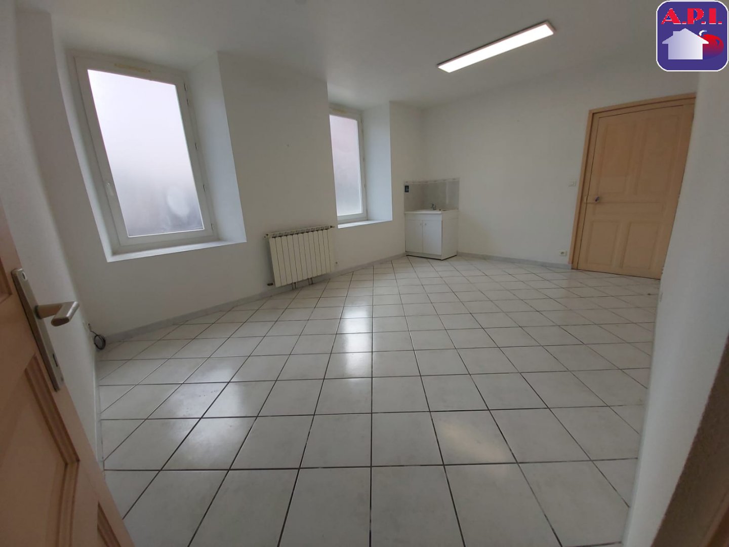 Agence immobilière de ARIEGE PYRENEES IMMOBILIER (API)