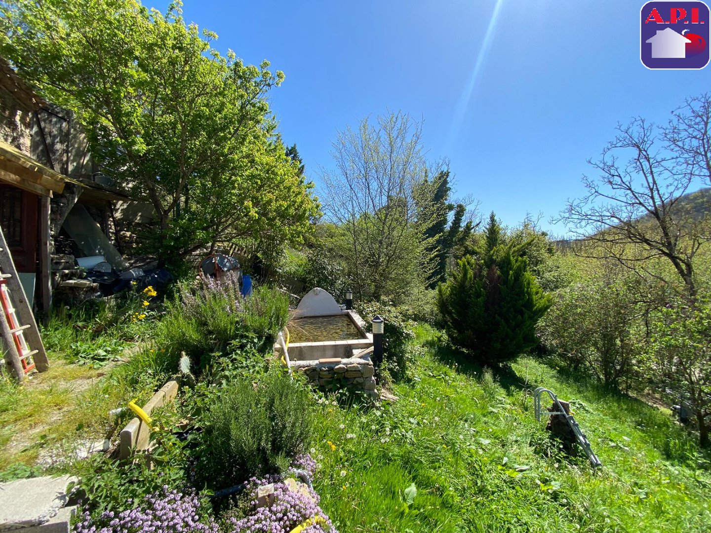 Agence immobilière de ARIEGE PYRENEES IMMOBILIER (API)