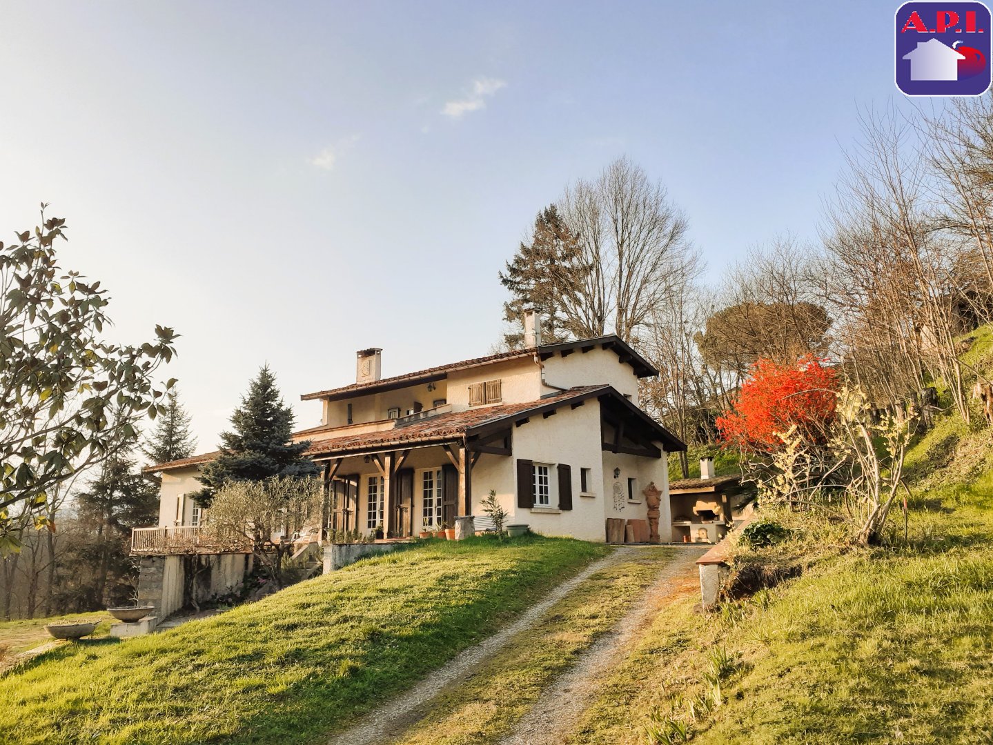 Agence immobilière de ARIEGE PYRENEES IMMOBILIER (API)