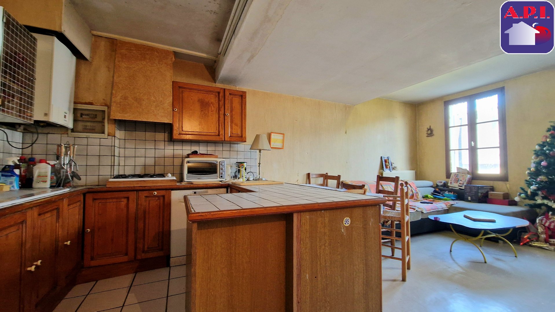 Agence immobilière de ARIEGE PYRENEES IMMOBILIER (API)