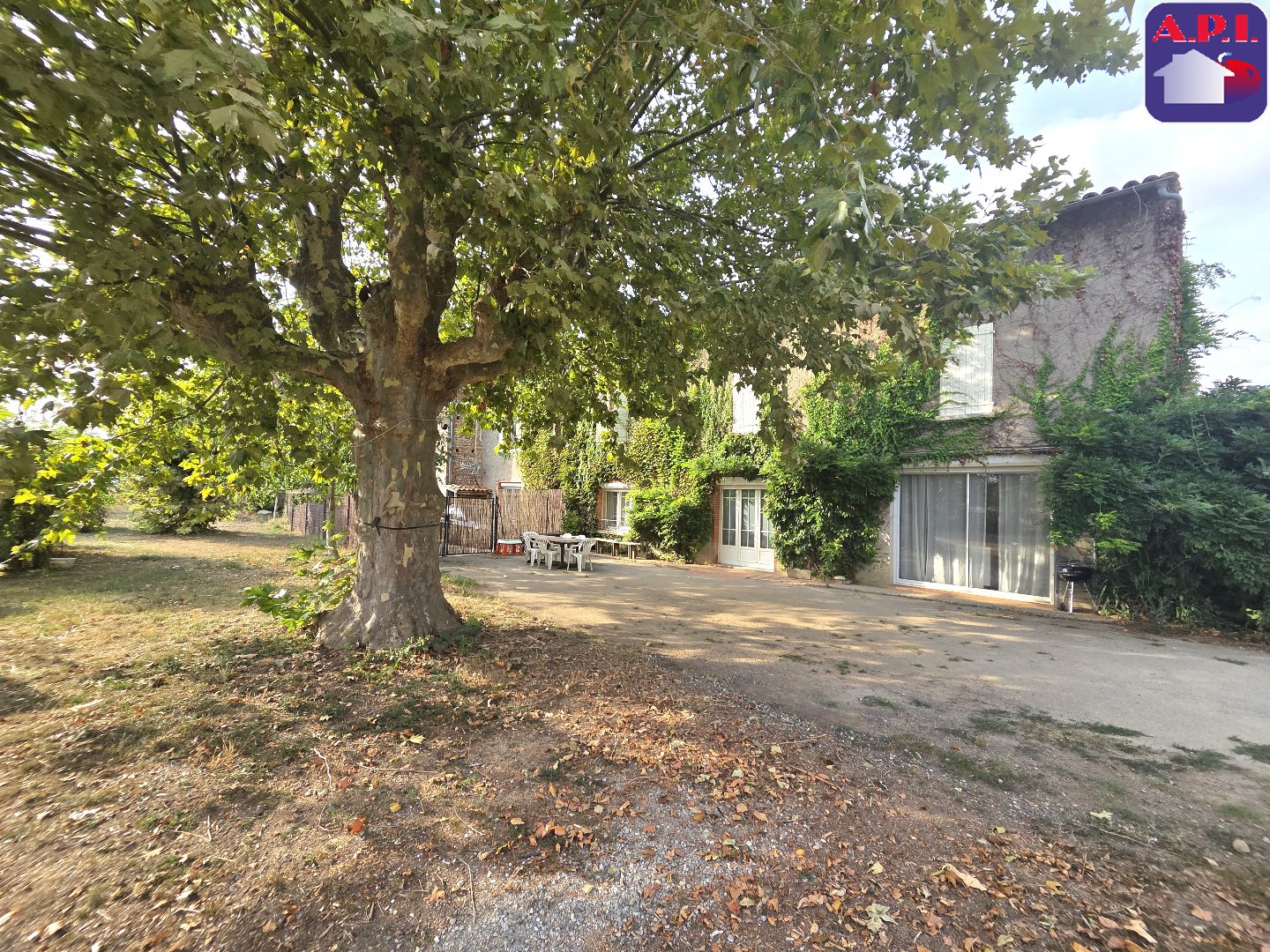Agence immobilière de ARIEGE PYRENEES IMMOBILIER (API)
