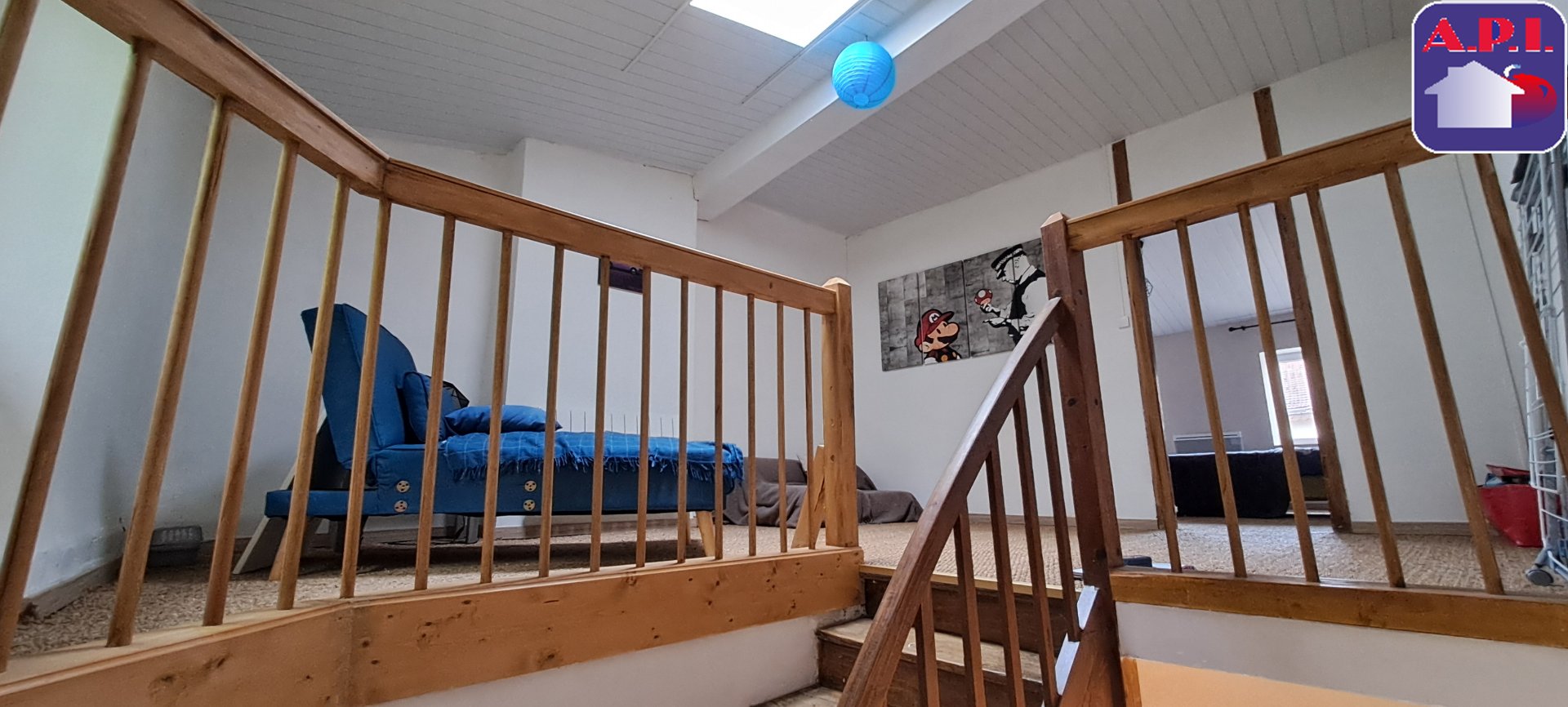 Agence immobilière de ARIEGE PYRENEES IMMOBILIER (API)